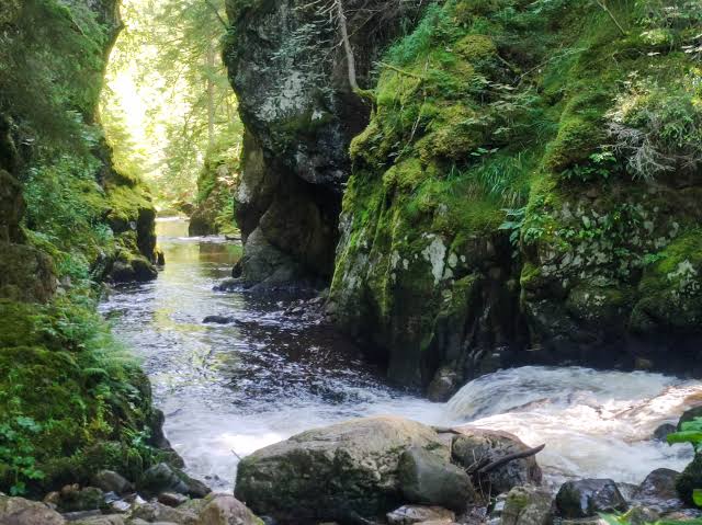 Schluchtensteig Trail